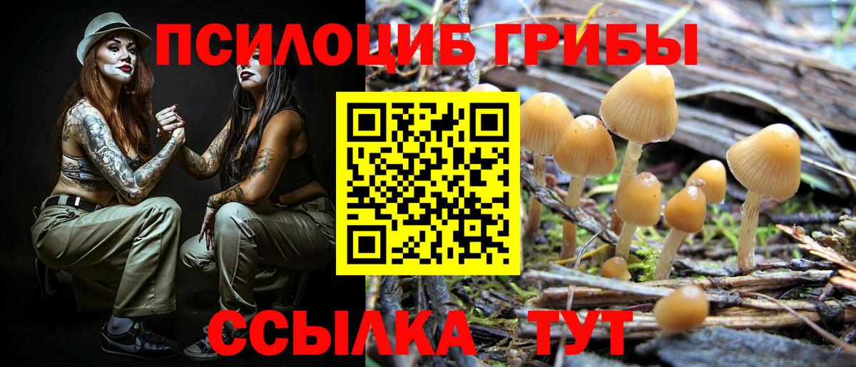 Галлюциногенные грибы Psilocybine cubensis  Галлюциногенные грибы GOLDEN TEACHER  Вход с VPN  Кореновск 